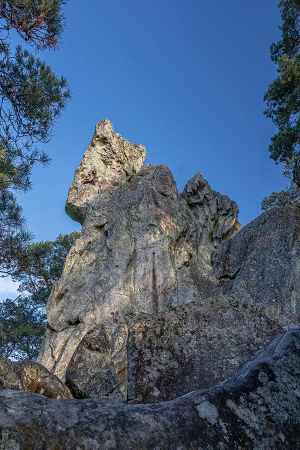 Logisfontainebleau Bed and Breakfast Villiers-sous-Grez Buitenkant foto